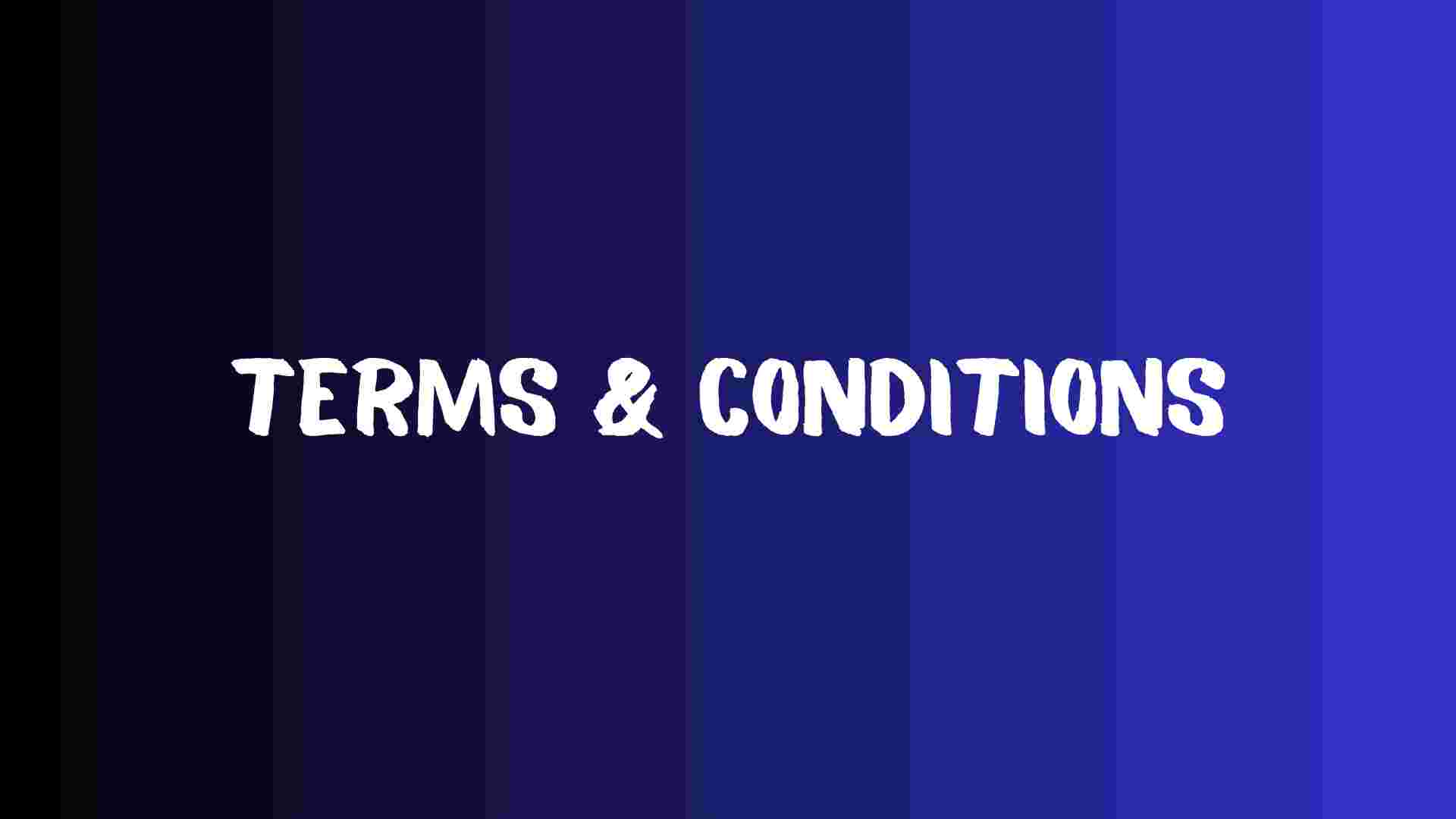 terms and conditions